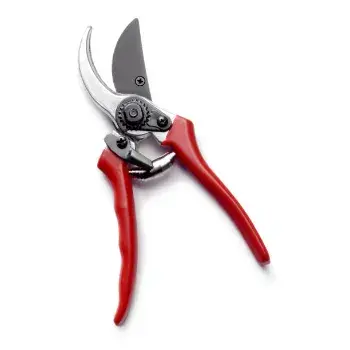 Red Pruning Shears